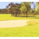 인천국제골프연습장 이미지