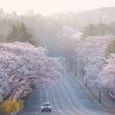보문4 이미지