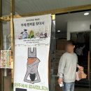 반려인연 | 크레스티드게코 키우기 사육장 먹이 신혼부부 반려동물 1년 후기