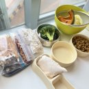 프레셔스독 이미지