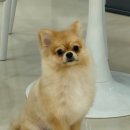 아토살롱 이미지