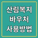 산림복지 바우처 지원금 최대 활용법 A to Z