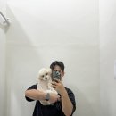 [퇴근길] 직장인통증관리 이미지