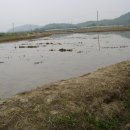 덕은농장 이미지