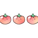 청두곶길 39 이미지