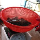 등대시장 이미지