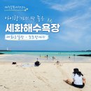 우도장날 | 세화해수욕장 아이 모래놀이부터 세화오일장 모모장까지