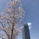 밀영어행정사사무소