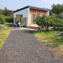 신촌농장 이미지