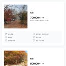 밤소리관광농원 이미지