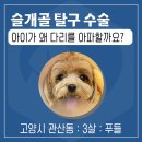 삼송사랑 동물의료센터 이미지