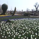 국제민박 이미지