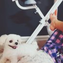 GS25논산강산점 이미지