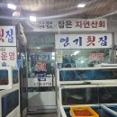 장호항영기횟집 | 식당_영기횟집(삼척)