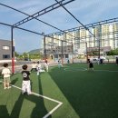 용인대 블랙벨트 태권도 이미지