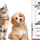 고양이눈 이미지