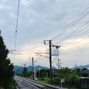 덕포보건지소 | 영월 백반기행 맛집 박가네 / 곤드레나물밥 어수리나물밥 더덕정식