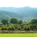 4공주농장 이미지