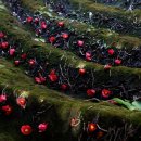 물소리바람소리 이미지