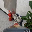 용인대 아이키즈 태권도장 이미지