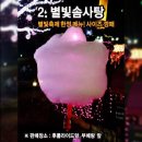 별빛백도 이미지