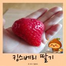 딸기야 | 딸기야 참외야? 킹스베리 딸기🍓 실물 영접 후기