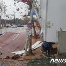 지진 난 줄…일산 백석동 '공포의 도로' 또 땅꺼짐(종합) 이미지