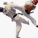 현대태권도체육관 이미지