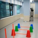 하나유치원 | 서초 강아지유치원 찾는다면, 소형견 보호자가 안심할 수 있는 옐레드