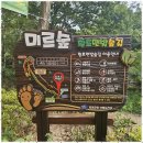 동그라미 여행사 네이버블로그