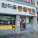 한마음종합동물병원 이미지