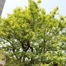 소문공인중개사사무소 이미지