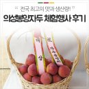 도리원초등학교 | 의성 축제 :: 전국 최고의 맛과 생산량을 자랑하는 의성봉양자두! &lt;제10회 의성봉양자두 체험행사&gt; 후기