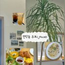 주브(Jouve) 네이버블로그