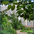 권선자이114공인중개사사무소 | 권선동권선자이 부동산 전문가의 확실한 해결책