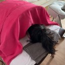 앤유하우스 | 군산 산후 출장 마사지_전주 바디앤유 (내돈내산 찐 후기)