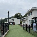 펫티움애견펜션 | 홍천 &#34; 펫티움 애견펜션 &#34; 으로 여름 물놀이 첫 개시 / 애견수영장, 넓은 운동장 / A동 101호 후기