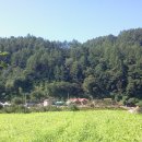 가곡하늘채민박 이미지