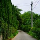 고성리마을회관 이미지