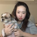 우신펫샵 이미지