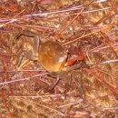 학산보건진료소 이미지