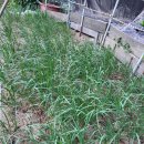 안성농장 이미지