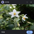 강진-6 이미지