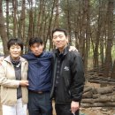 창희농장 Daum카페