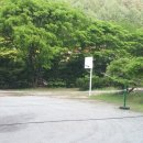 맑은물민박 이미지