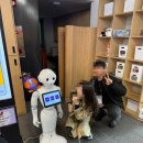 커피지도사 | [10月] 2025 충청남도 청소년지도사 디지털 역량 강화 연수 교육 후기🤖💬