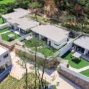 위클라드애견풀빌라 이미지