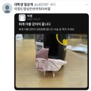 도야팡