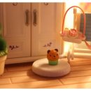 꿈꾸는 이층집 이미지