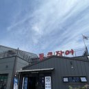 김해 장어구이 김해통큰장어에서 부담없이 실컷 먹어보기